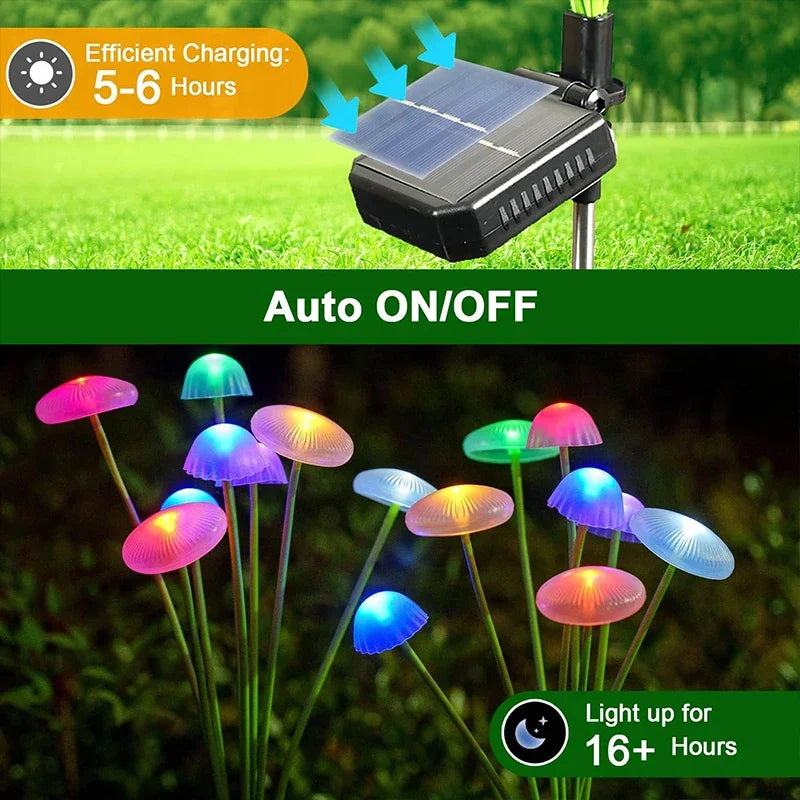 Sf01f435dfca448219576f3100104fe1fr_e89c4414-6d56-4be0-b814-dedb05572ece - MegaDeal