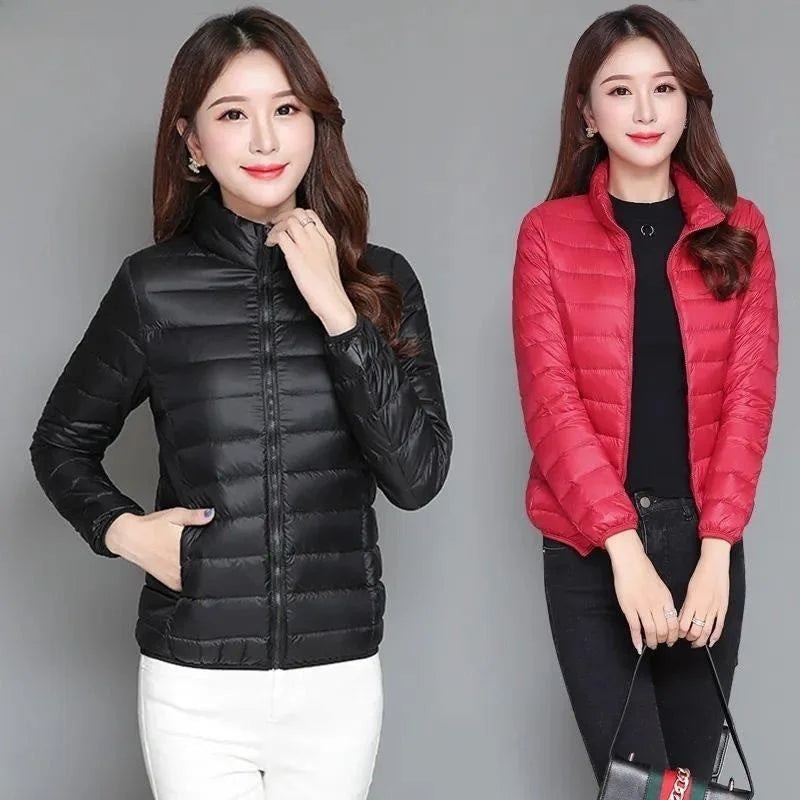 Sf152659a4a754f5d911da92a31678fdeK - MegaDeal