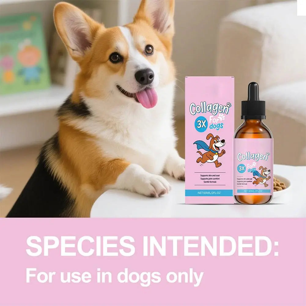 1/3/5Pcs 60ml Dog Pet Collagen Based Staple Food Combined With Nutritional Supplement Drops Gentle Formula For Hair Skin Care