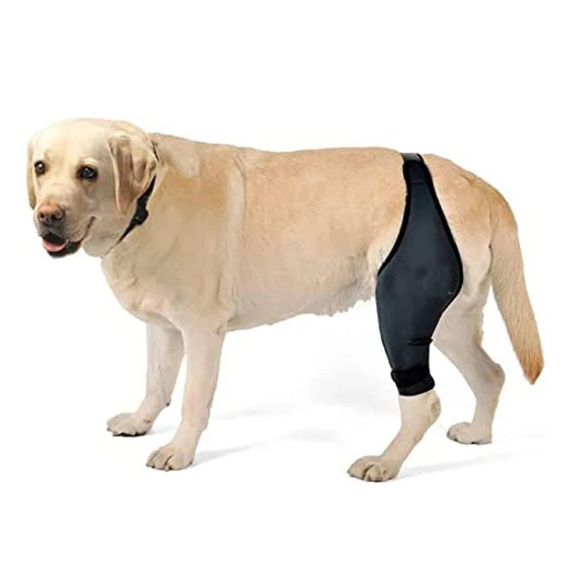 Adjustable Dog Leg Stand Support Sleeve Fracture Recovery Rehabilitation Pet Knee Protector Protective Equipment for Dogs