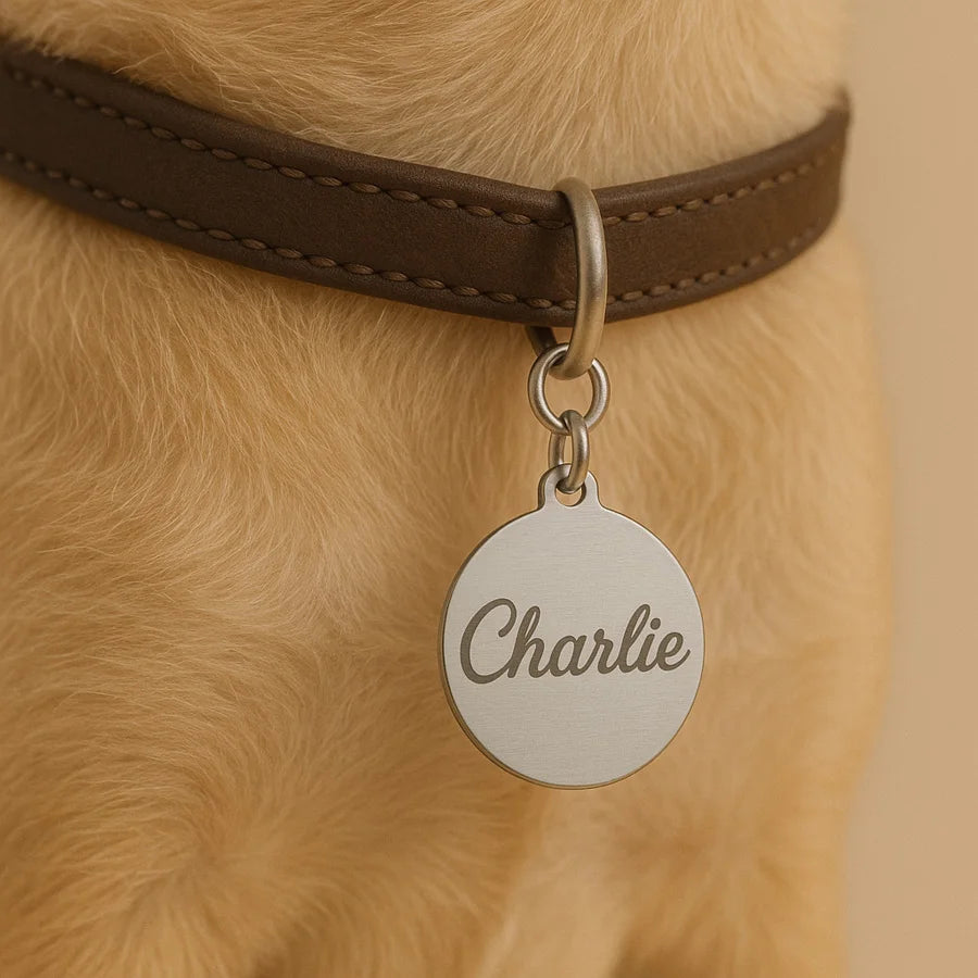 1pc Custom Stainless Steel Pet ID Tag Personalized Name & Phone Number Round Dog Cat Collar Tag 25mm