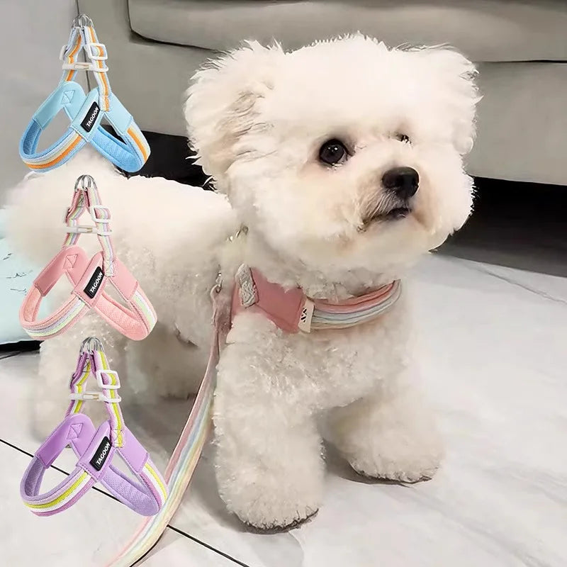 Hakimi Leash Dog Walking Harness Breathable Lightweight No Pulling Neck Collar for Small to Medium Dogs like Shiba Inu And Corgi