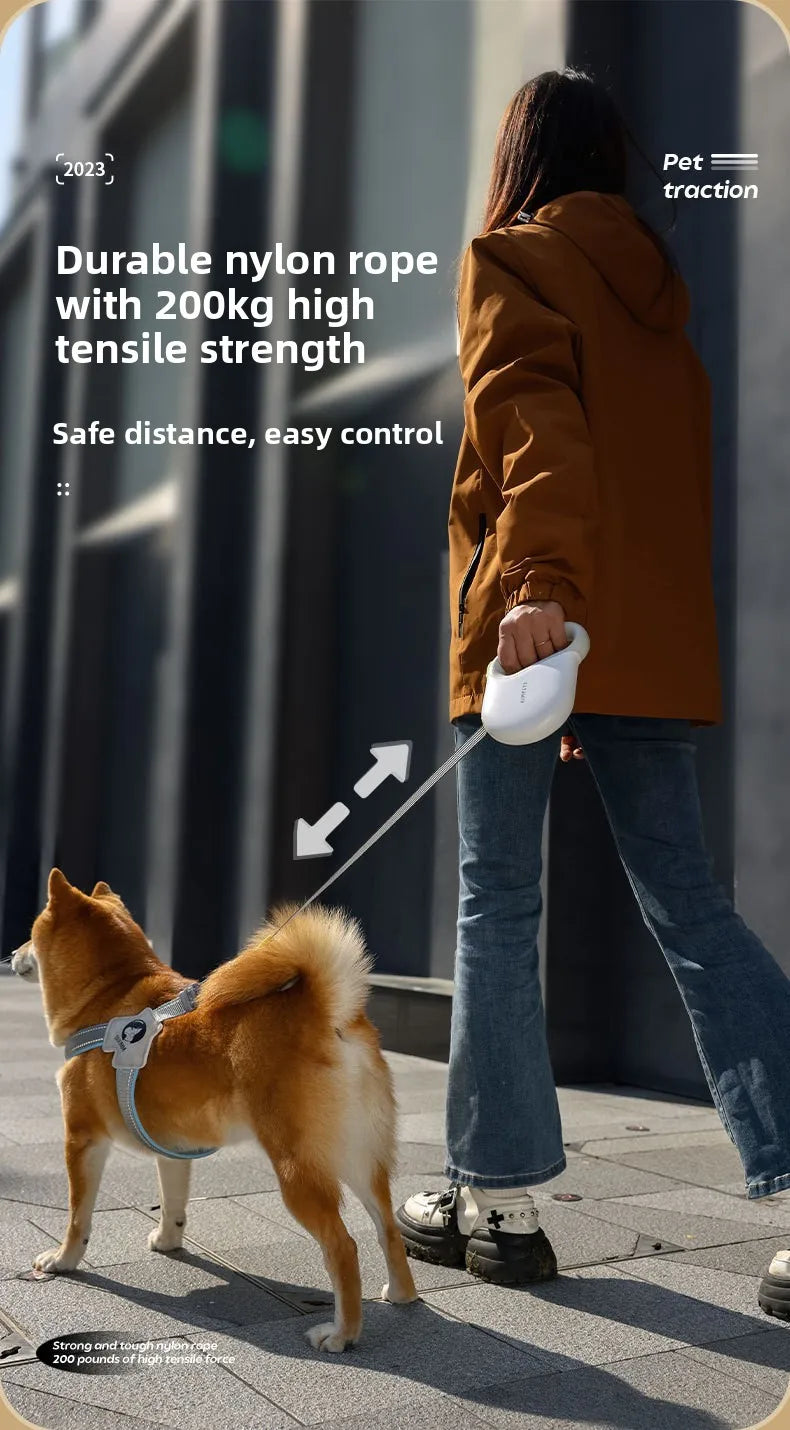 Automatic Retractable Dog Leash 5 Meters Long Teddy Dog Walking Rope Polyester Material for Small to Medium Sized Dogs