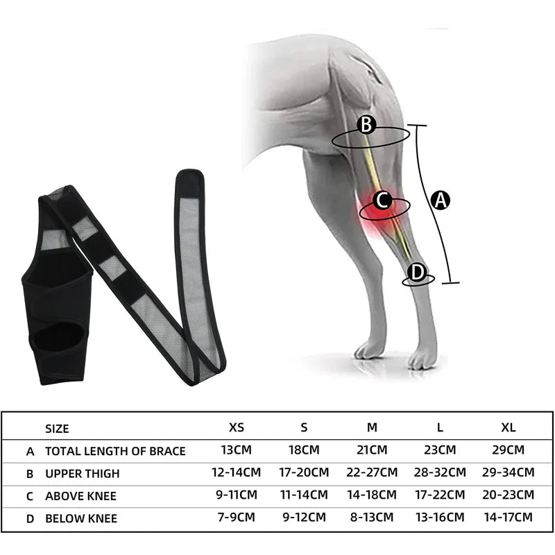 Adjustable Dog Leg Stand Support Sleeve Fracture Recovery Rehabilitation Pet Knee Protector Protective Equipment for Dogs