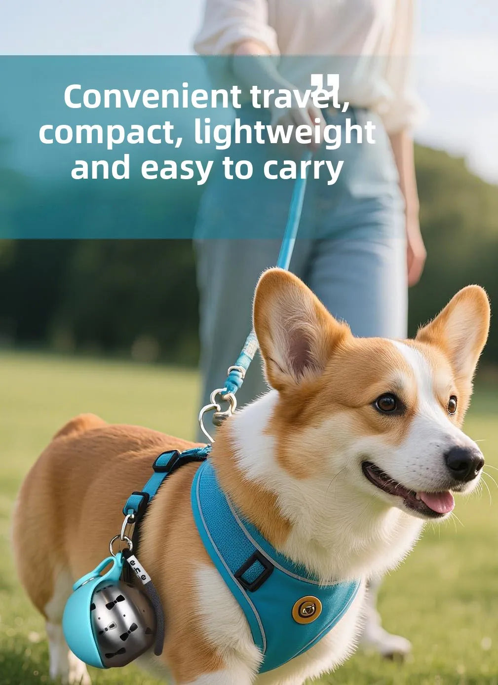 Foldable Stainless Steel Pet Water Bottle Spherical Design Portable Bowl for Small Pets Outdoor Daily Feeding and Drinking